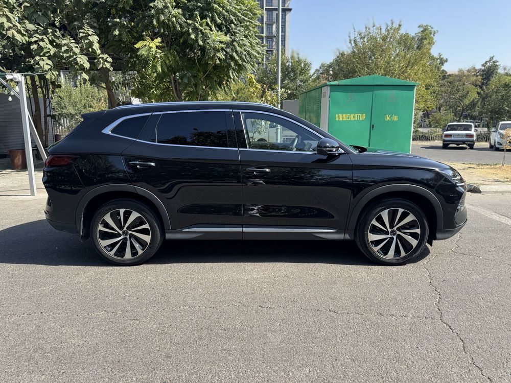 Byd champion Gibrid 2024