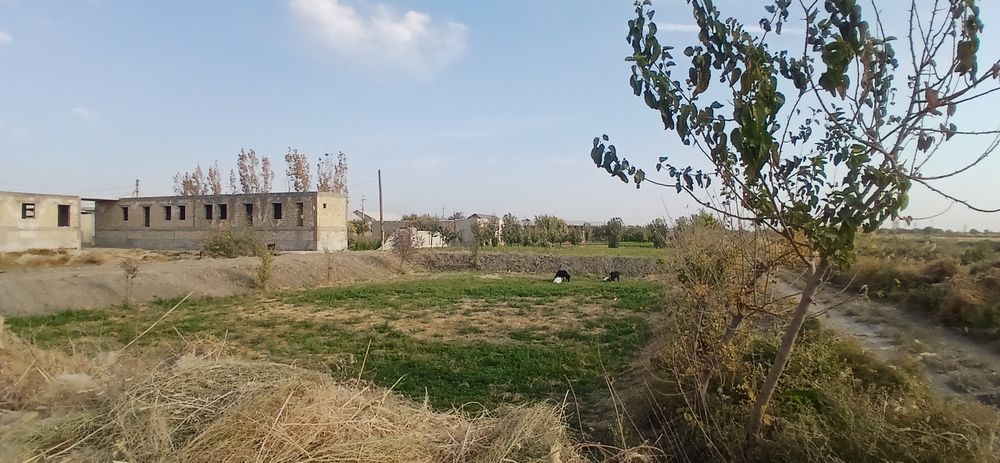 Хаммасига гарантийа