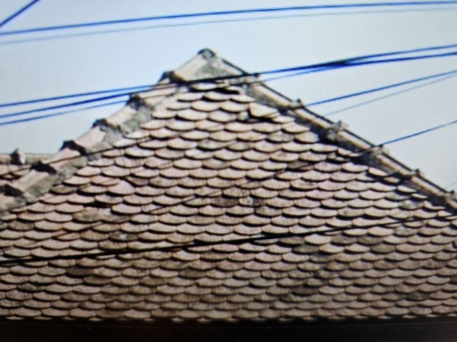 ofer tigla solzi gratis