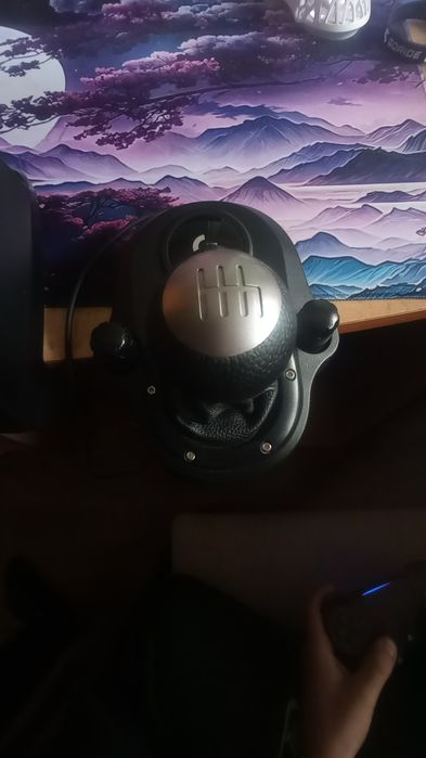 Logitech g29 + shifter