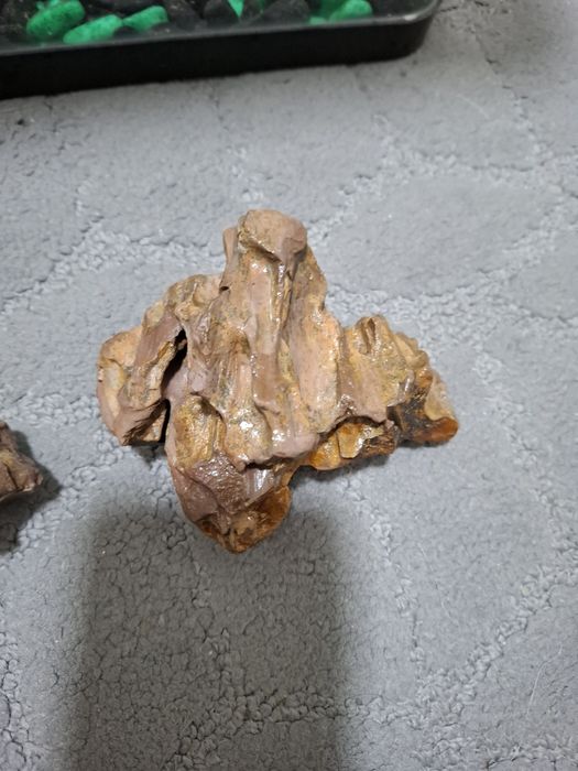 Камень драконий. Dragon stone