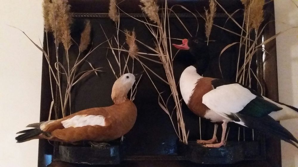 Хобби и охота рыбалка