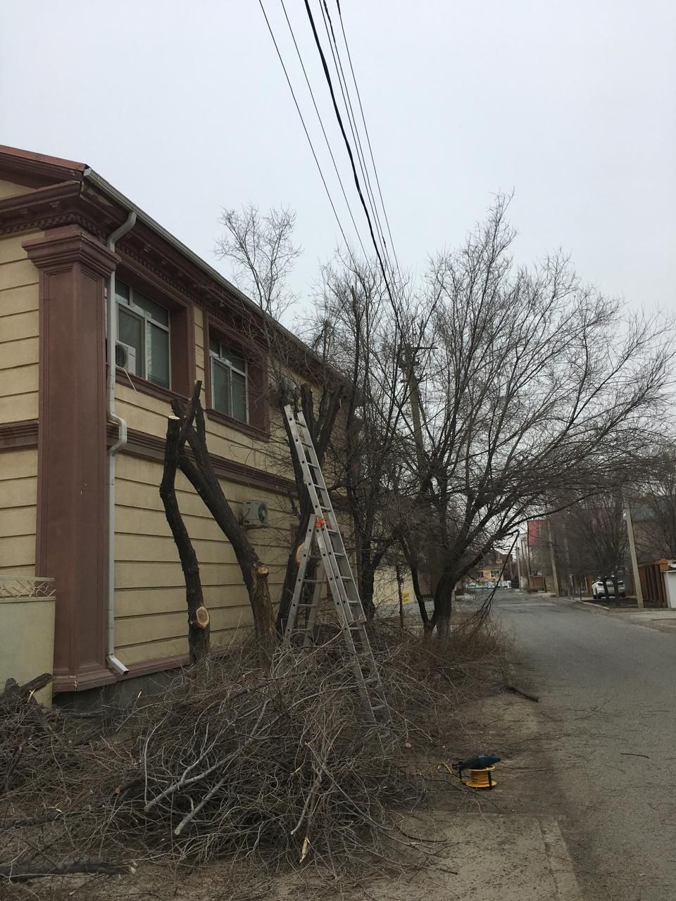 Обрезка деревьев в Атырау.
