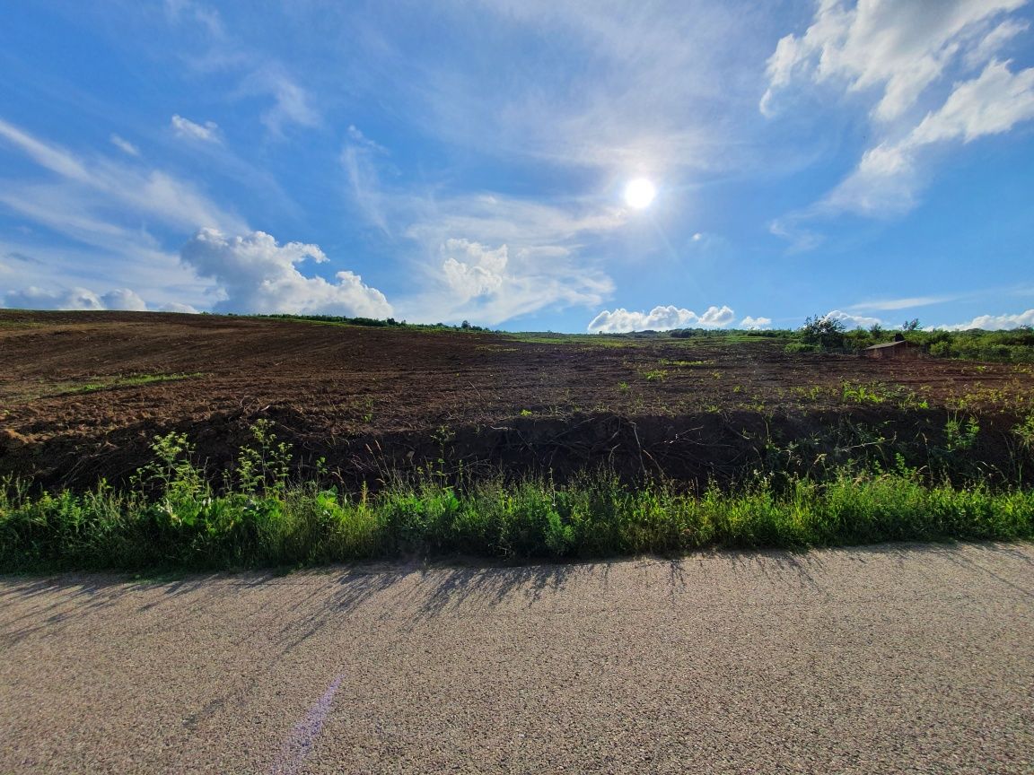 Vand teren Visan Barnova strada Sf. Ilie 1566mp Intravilan,asfalt