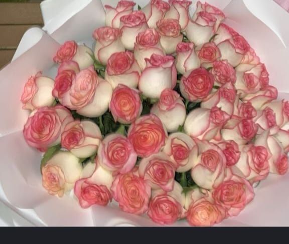 Голландские розы 51 роза Низкая цена  Цена договорительная