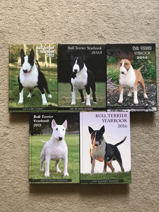 Colectie anuare Bull Terrier