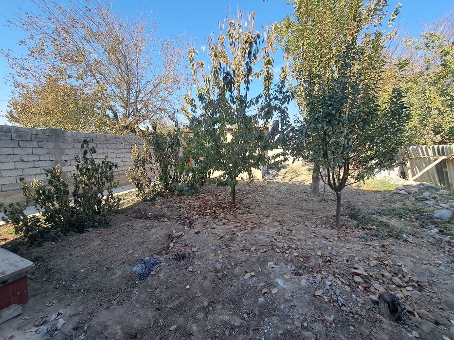 Yer sotiladi hamyonbob