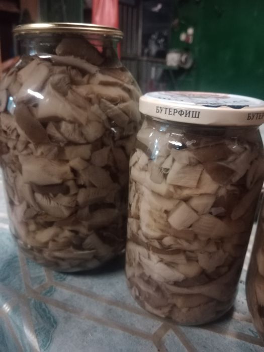 Продам соленые грибы