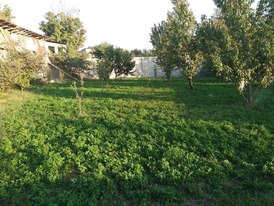 Участок   Назарбек 13соток кадастр есть,  сотка 11000$  газ свет вода.