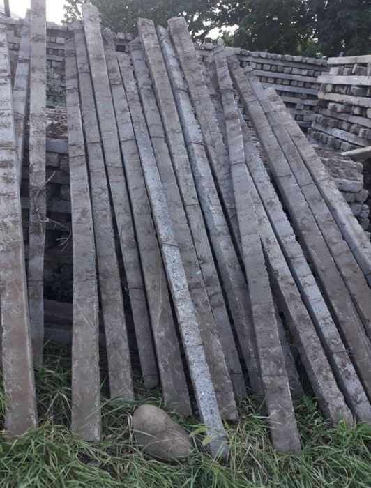 Spalieri de vie de gard din defisari