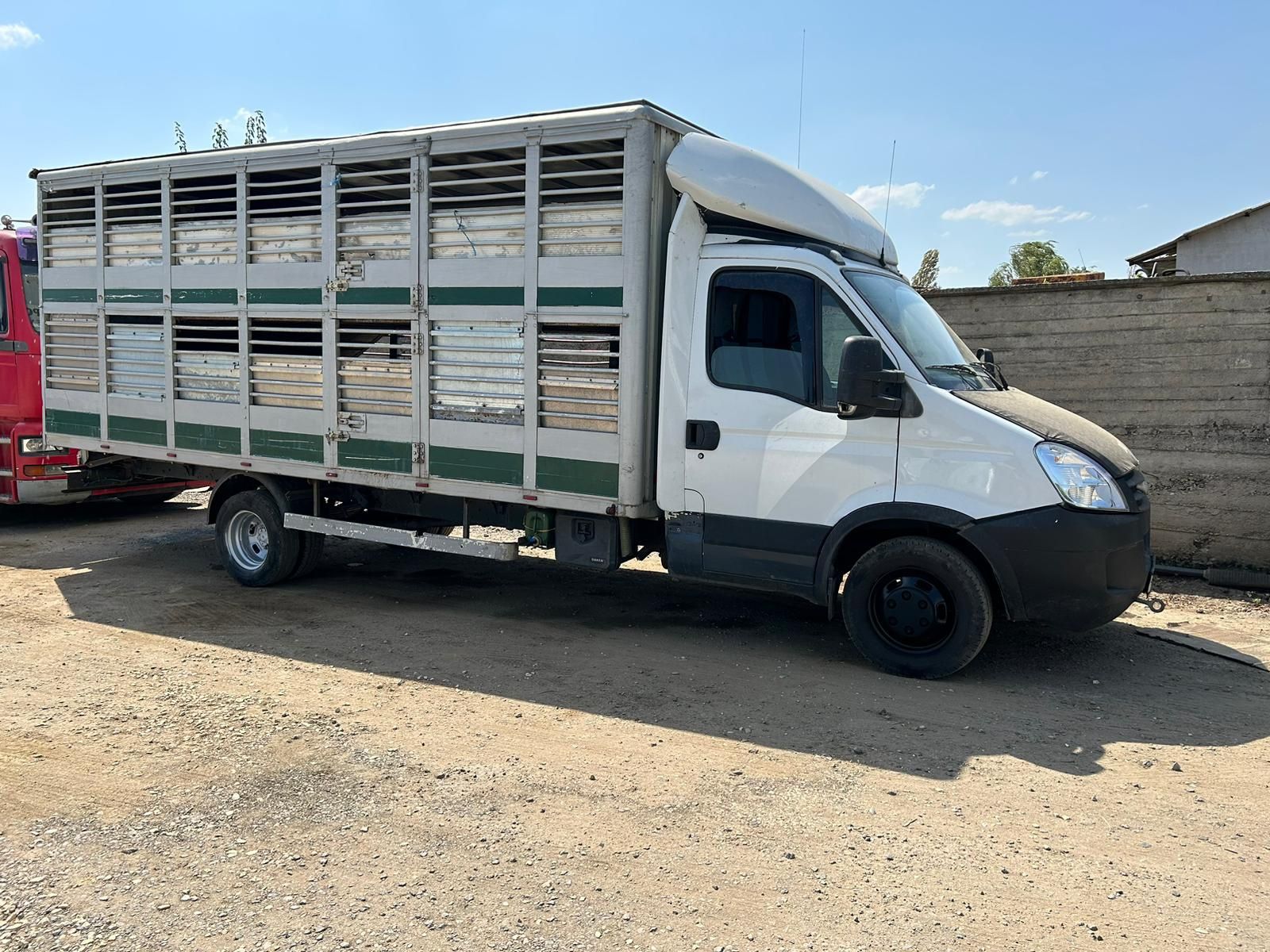 Iveco 50c18 detarat cu b masina transport animale vii pe 2 nivele