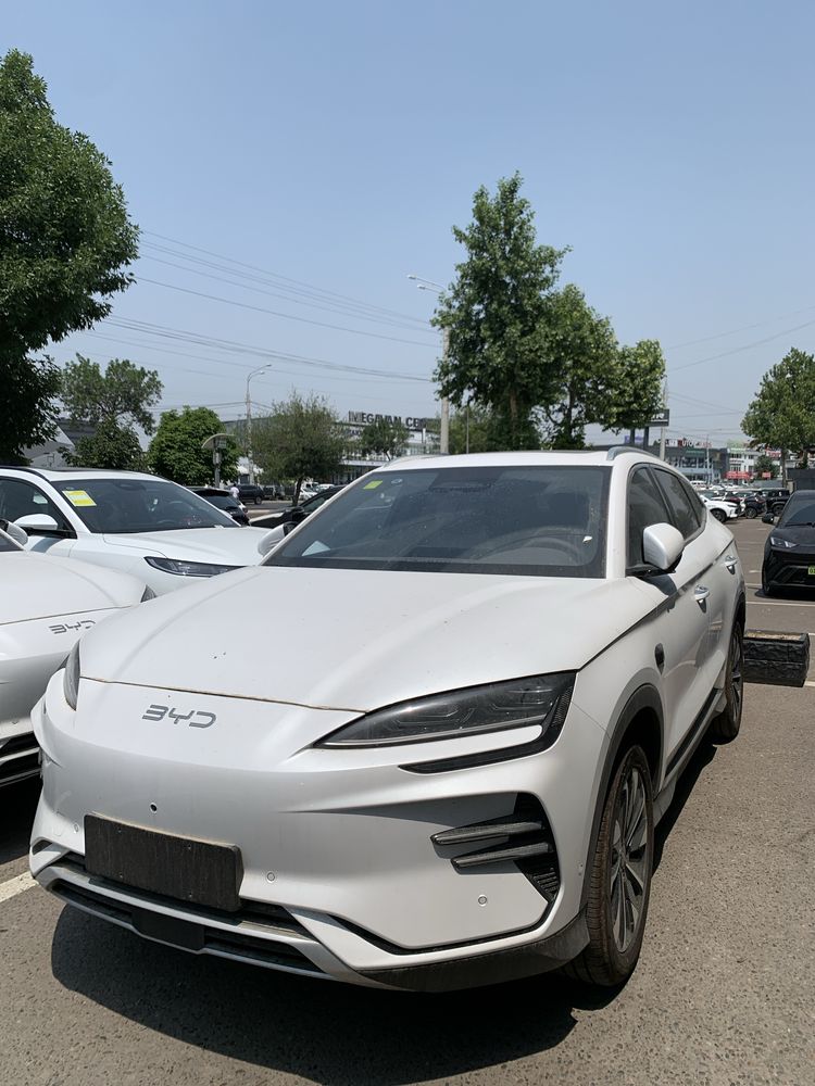Byd Champion 2025 smart drive