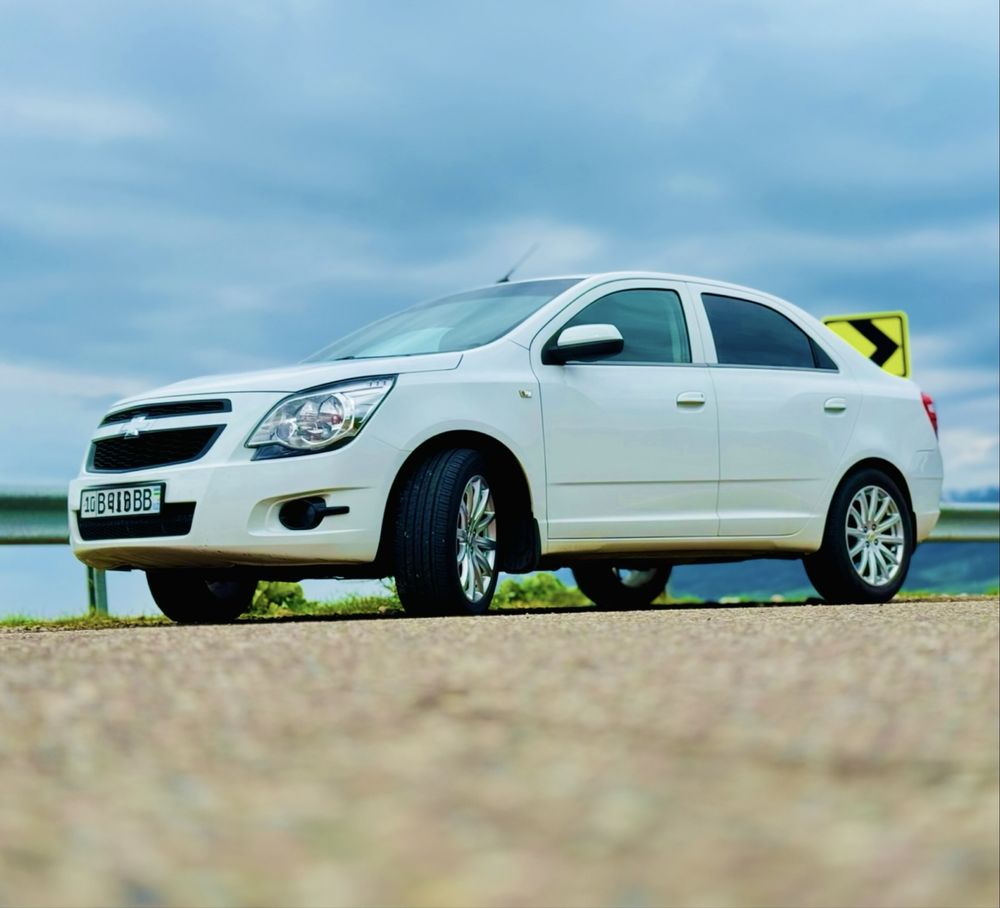 Cobalt Evro 2014.15