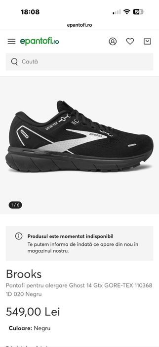 Vand adidasi Brooks Goretex