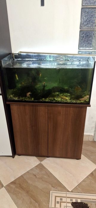 Acvariu 120 L cu mobilier complet echipat