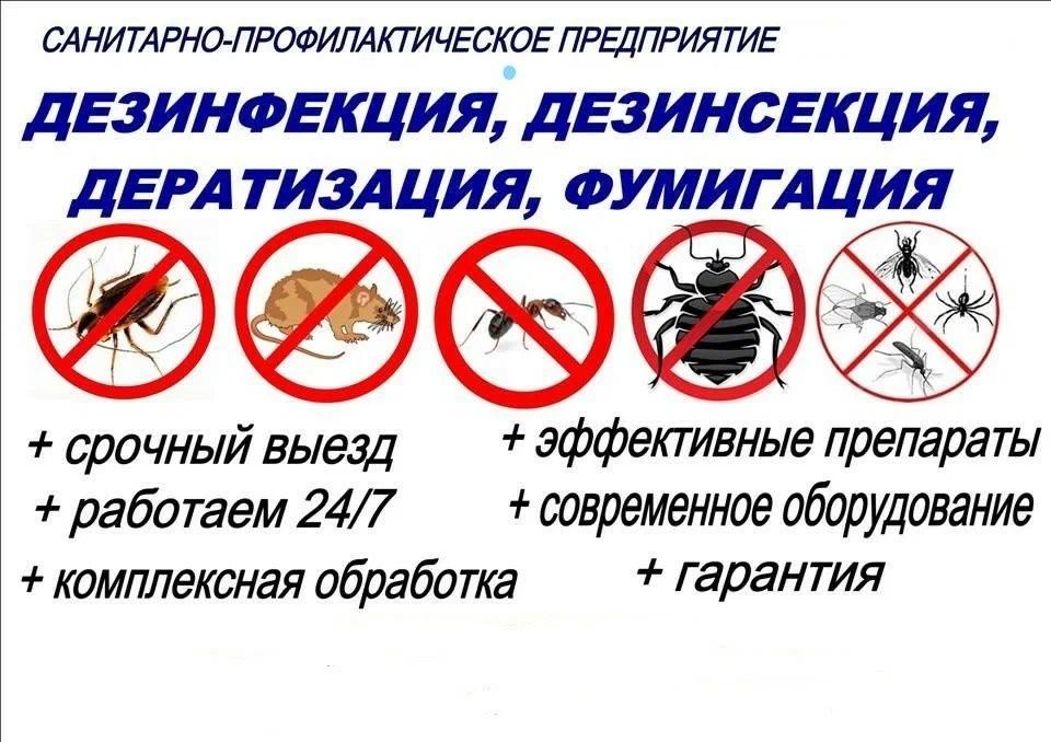 Дезинфекция, дезинсекция, фумигация, дератизация в Кызылорде!