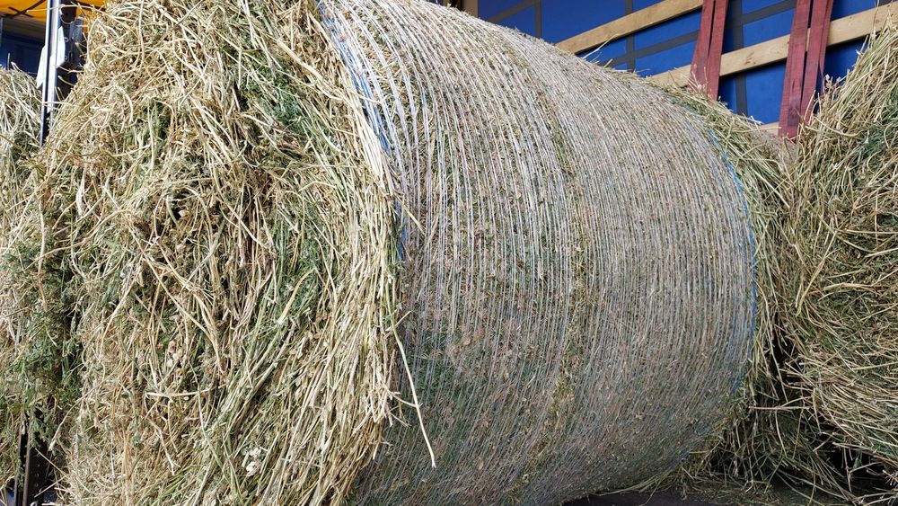 Baloți de lucernă, fân rotund,dreptunghiular!