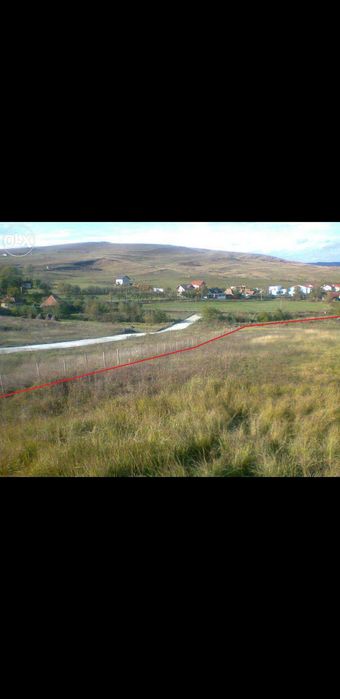 Închiriez teren în zona HUB Educational Borhanci Cluj-Napoca, 7860 Mp