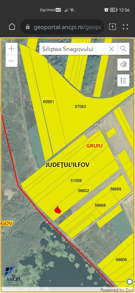 Snagov Siliștea 14700mp la100m de lac. Accept auto în prețul terenului
