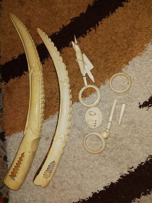 De vânzare coarne din fildeș puls alte accesorii