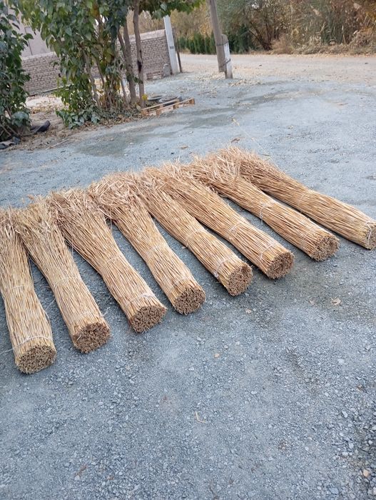 Камиш култаси 3000 сум