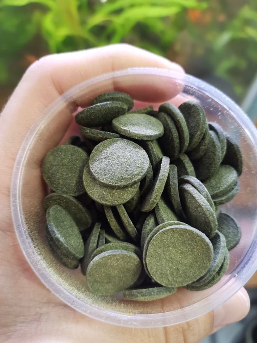 Tablete de spirulina pentru creveti ancistrusi etc.