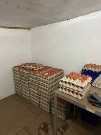 Ouă de vânzare