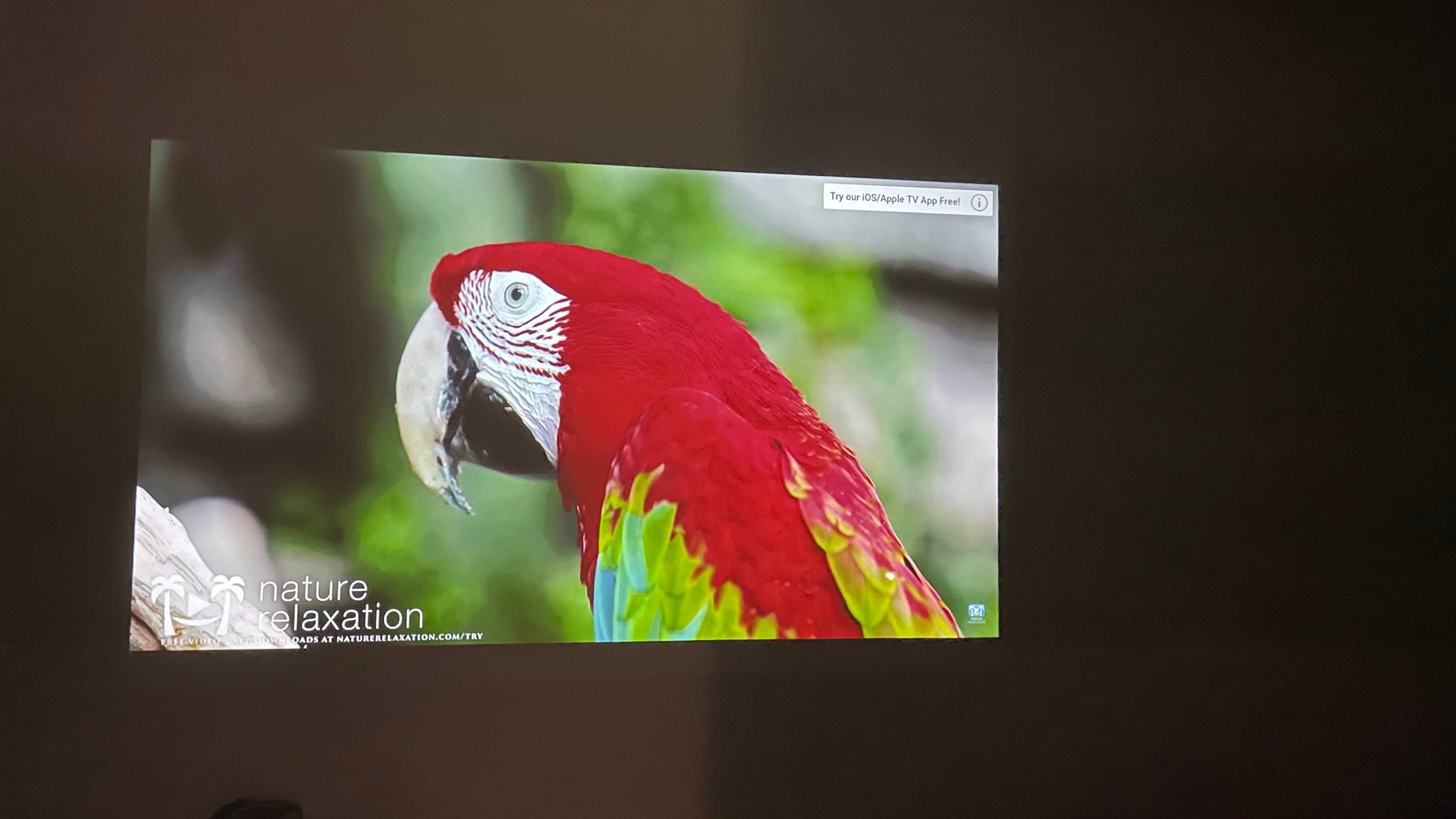 Проектор Optoma W355 DLP HD
