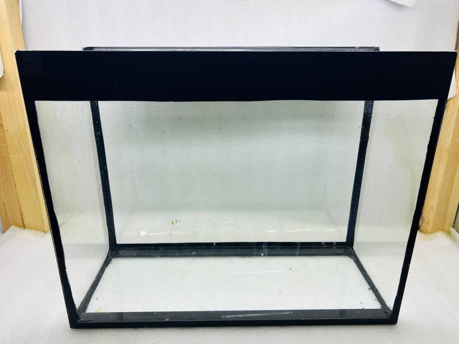 5 та Аквариум хаммаси биттада