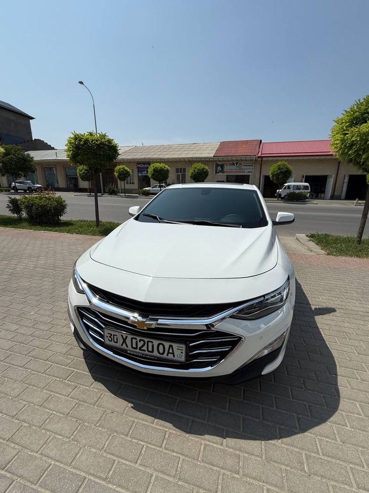 Malibu premier tozza
