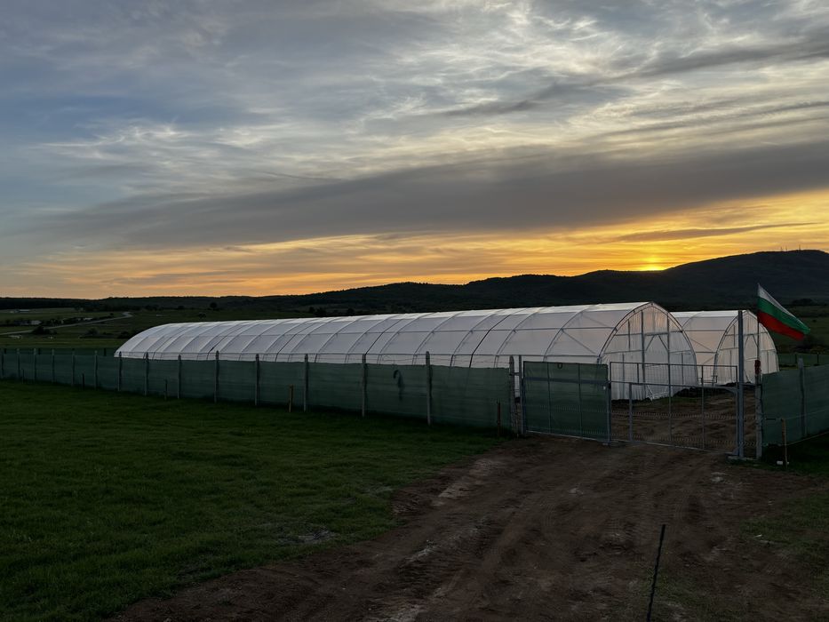 Стопанство за производство на зеленчуци