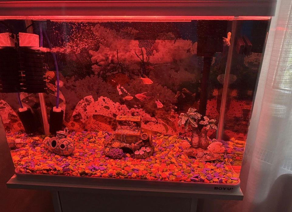 Acvariu cu comoda incorporata