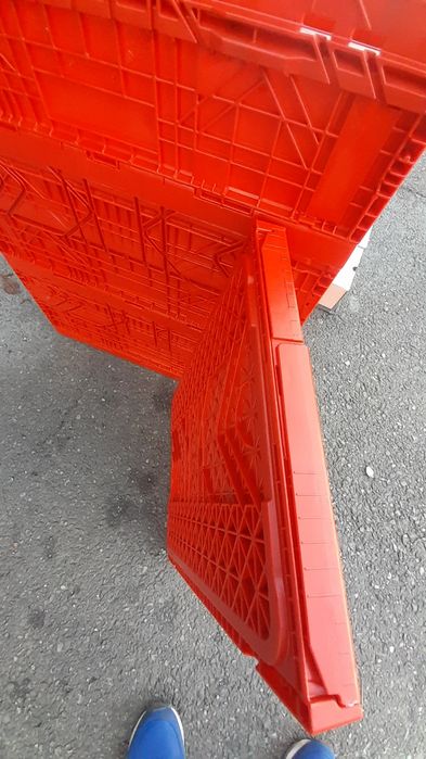 Cuti pliabile  solide60x40x30