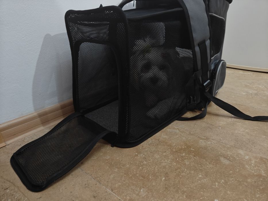 Rucsac transport câini