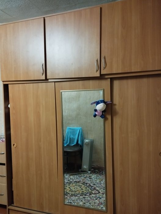 Шкаф плательный,стол