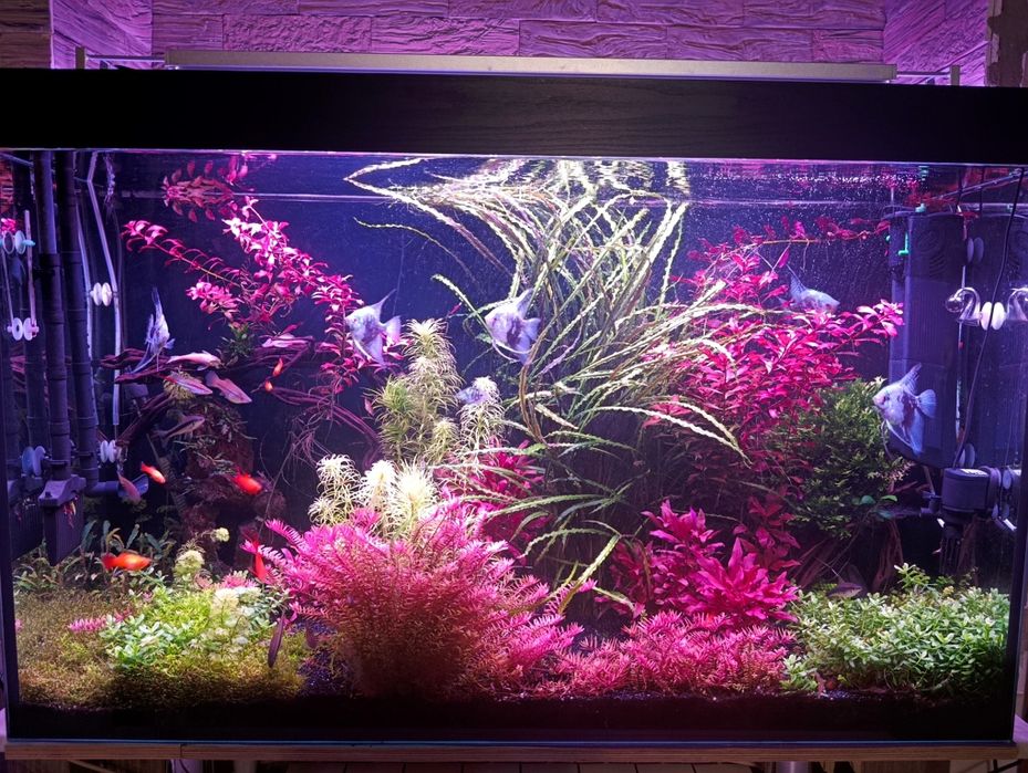 Аквариум полная комплектация