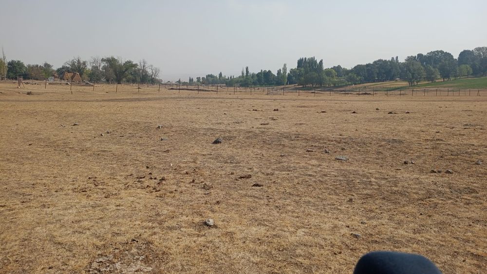 участок 25 соток