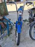 Capra Piaggio Si