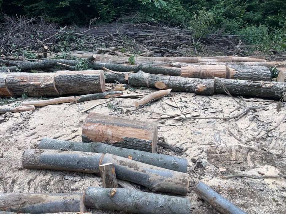 Vând lemne transport inclus!!!