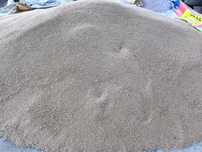 Triticale  și orz