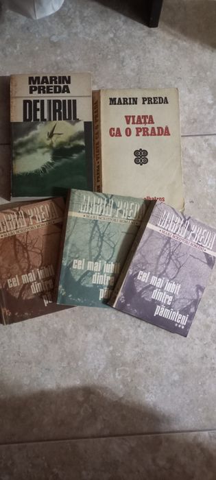 Romane Autori Romani