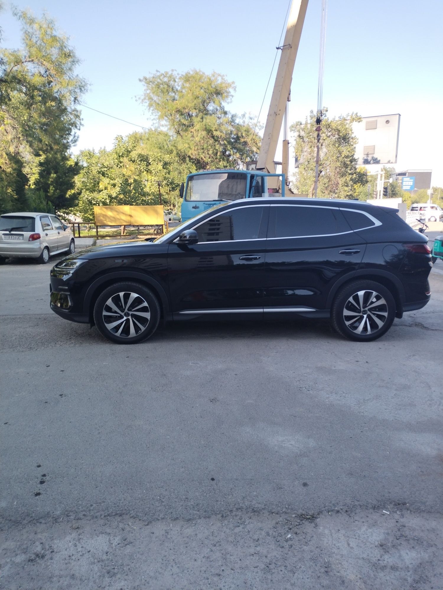 Byd song plus champion 2024