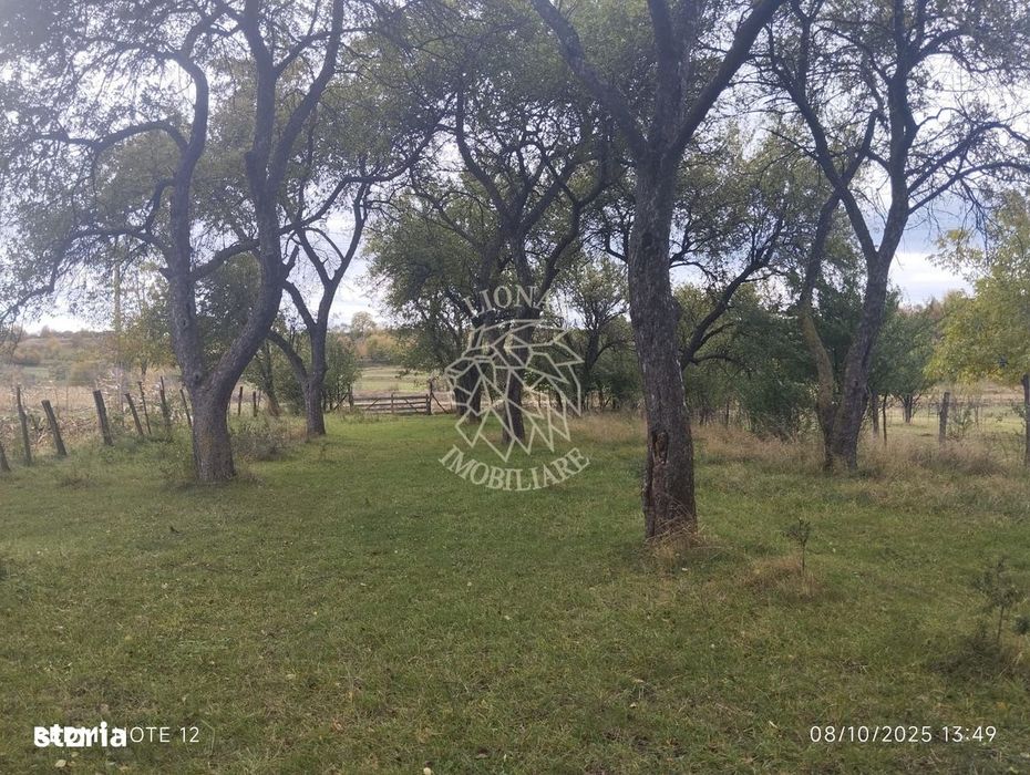 Teren intravilan 1500 mp-ideal casa-Mijlocenii Bargaului