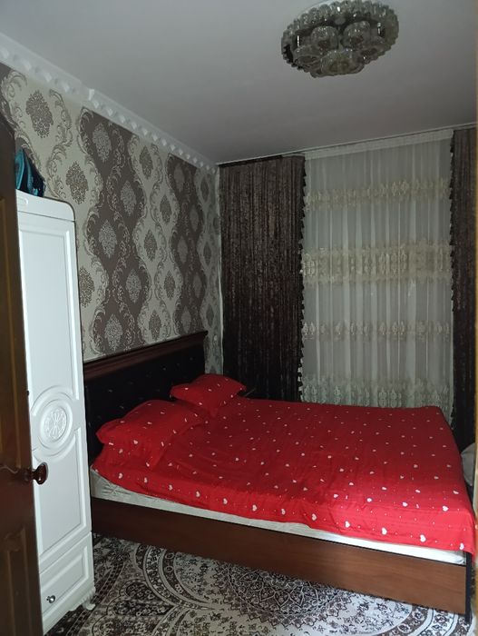 "Tansiqbayev3" 2/5/5