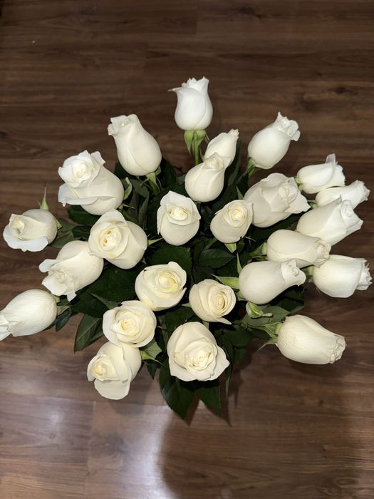 25штук голландский 9000