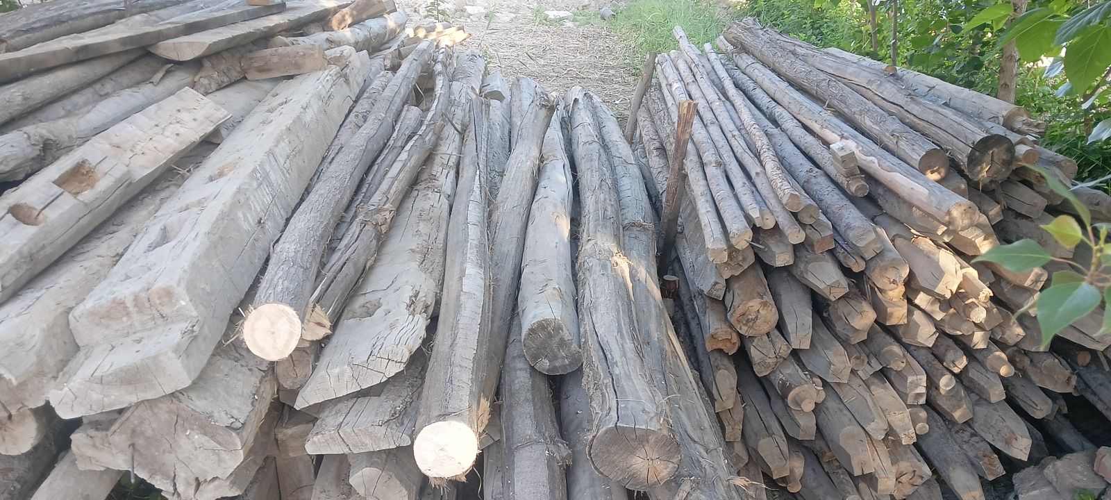 Choʻp sotiladi bolor boʻladiganiyam bor sifati yaxshi
