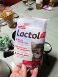 Lactol адаптирано мляко за котета