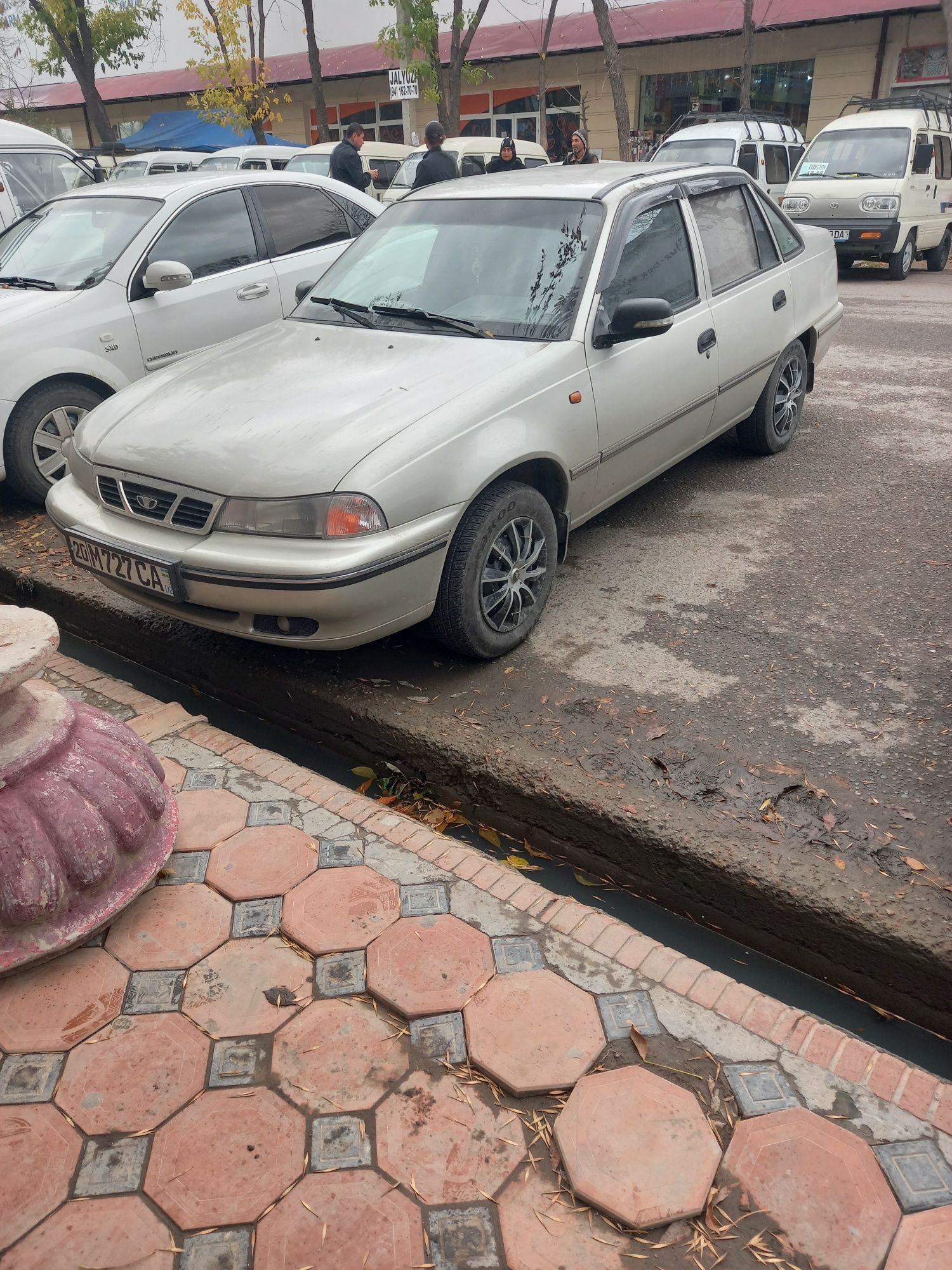 Matorda ozroq moy yeydi kuzip holati yaxshi udar yemagan