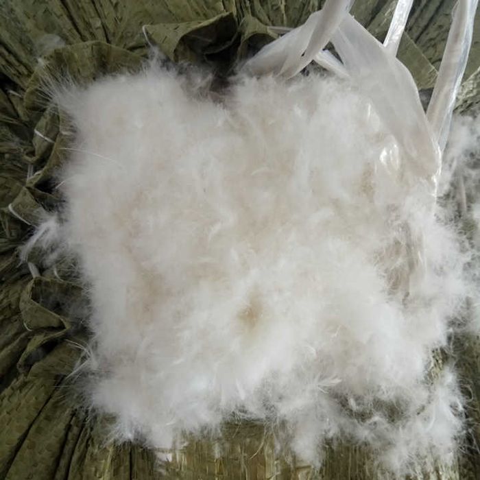 Продам сухой пух гусей 4кг