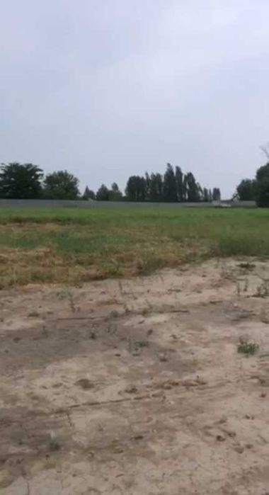 Продаётся земля в Янгиюле Гульбахор 10,6 гектар под любой вид деятельн